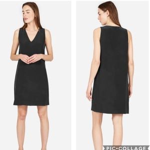 Everlane Double Lined Silk V-Neck Dress